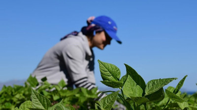 TKDK'den 27 projeye 387 milyon lira hibe desteği!