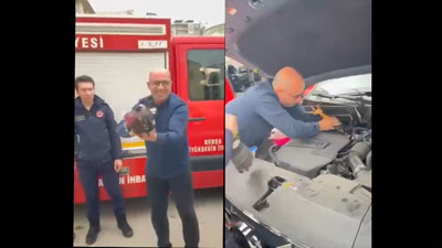 Bursa'da araç motoruna bu kez kedi değil, horoz girdi