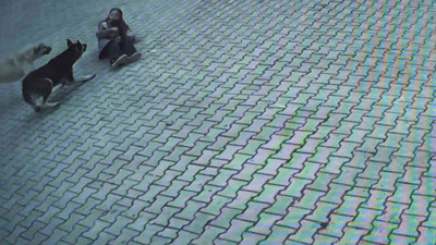 10 yaşındaki öğrenci köpeklerin saldırısını sıyrıklarla atlattı