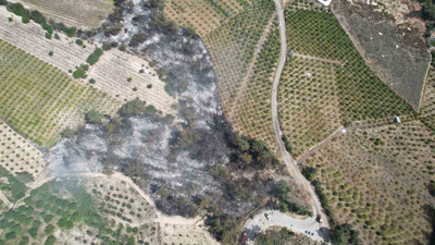 Mersin’deki orman yangının bilançosu ortaya çıktı
