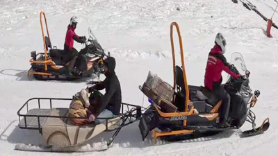 Buzağı veterinere böyle yetiştirildi