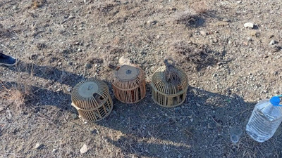 Kınalı keklik avcılarına 402 bin 825 lira ceza