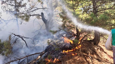 Kütahya'da orman yangını