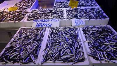 Balık avı sezonunda sona geliniyor! Tarihi netleşti