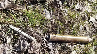 Dere kenarında bulunmuştu! İmha edildi