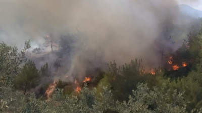 Osmaniye’de orman yangını (16 Mart 2025)