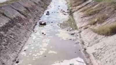 Adana’da mide bulandıran görüntü! Ne buldularsa atmışlar...