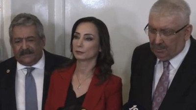 Ayyüce Türkeş'ten bu fotoğrafa çarpıcı yorum... DEM MHP'yi ziyaret etti