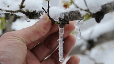 Meteoroloji 5 il için don uyarısı verdi
