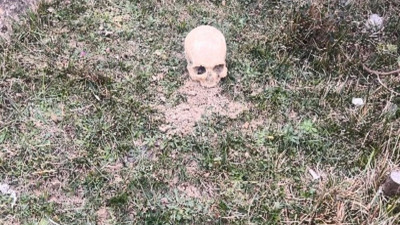 Arnavutköy'de hareketli saatler: İnsana ait kafatası bulundu