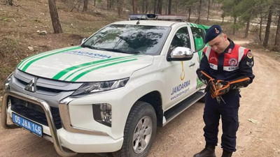 Yol kenarında yaralı olarak bulunmuştu! Tedavi altına alındı