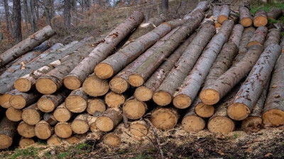 Ladin fiyatları 660 doları aştı