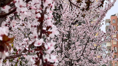Konya çiftçisine uzmanında uyarı