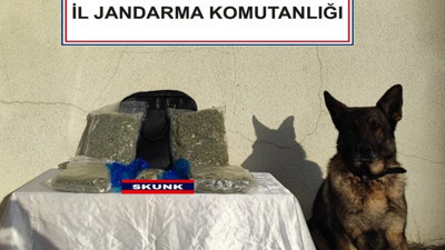 Yolcu otobüsünde skunk operasyonu! Narkotik köpeği tespit etti: 2 kadın tutuklandı