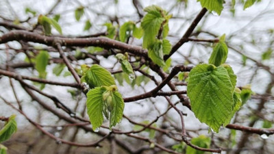Çiftçilere kritik uyarı