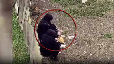 Topladıkları paraları say say bitiremediler! Zabıta şehirde bu kadınları arıyor