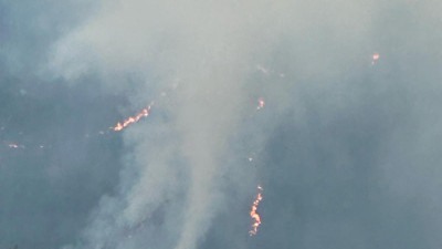 Balıkesir'de orman yangını