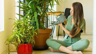 Bitkiler sakinlik getirir mi? İşin uzmanları anlatıyor