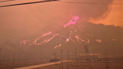 Güney Kore'de orman yangınları faciası! Ölüler var