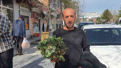 Yılın ilk kuzu kulağı! Tezgahlardaki yerini aldı
