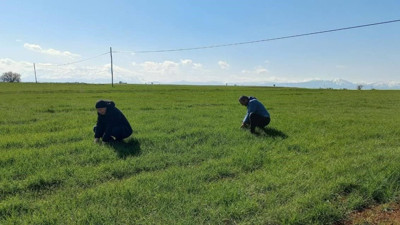 Beyşehir’de zirai don kontrolü yapıldı