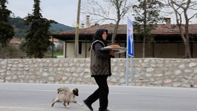 Bu evde yemek pişirmek yasak!