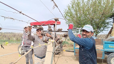 Üzüm bağlarında bayram telaşı!