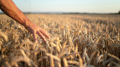 Çiftçiler yağmur duasında