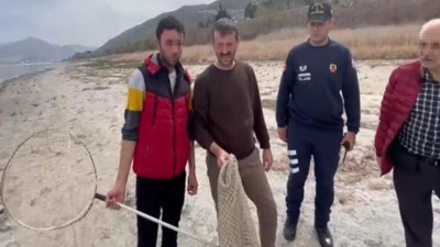 Tırıvırı avcılarına ceza yağdı