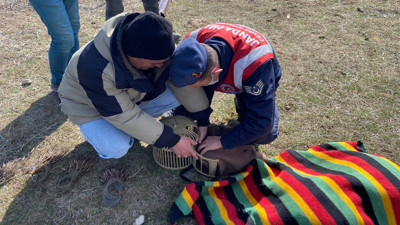 Jandarma keklik avcılarına göz açtırmadı! Çok sayıda keklik doğaya bırakıldı