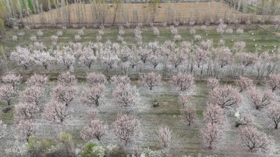 Profesyonel fotoğrafçılar için efsane bir manzara