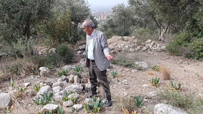 200 mezarın durumu perişan