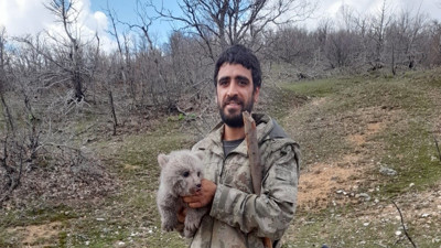 Ayı yavrusunu saldırıdan kurtardı!