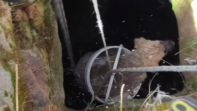 Kayseri'de kuyuya düşen yavru köpek böyle kurtarıldı