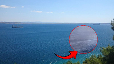 Çanakkale sahilinde tedirgin eden görüntü! Kabus yeniden hortladı