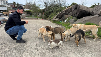 Kedi ve köpekler dostluğu yürekleri ısıttı!