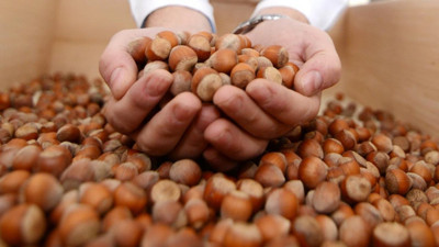 Fındık ihracatından 1,7 milyar dolar gelir