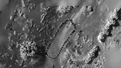 Trump’dan Yemen'deki Husilerle ilgili şok açıklama: "Bir daha saldırı yapamayacaklar"