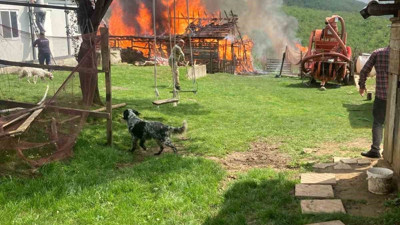 Düzce'de samanlık küle döndü