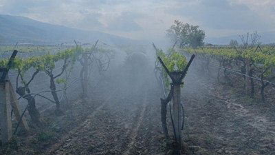 Bağlarda ilaçlama çalışması başladı