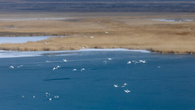 Gezegenin geleceği Semerkant’ta sanatla şekilleniyor