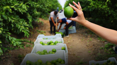 İhracatına kısıtlama getirilmişti... Stokçuların oyunu deşifre oldu!