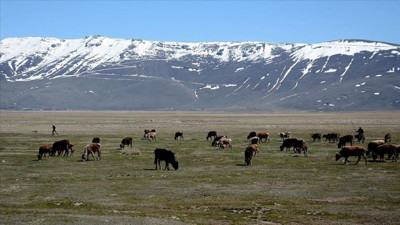 Besiciler ayaklandı yardım istiyor: Kan davasına dönüyor