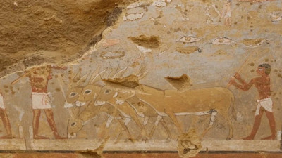 4.300 yıllık sır! Antik Mısır’dan günümüze duvarlarda saklı hayat