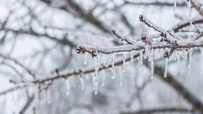 Meteorolojiden bir il için daha zirai don uyarısı