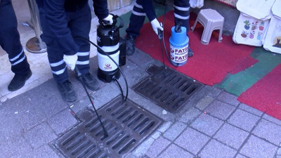 İstanbul’da tarihi çarşıda fare ve böcek avı