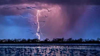 Hindistan'da yıldırım felaketi! Can kaybı yükseliyor