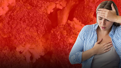 Kansere, şekere, kalp hastalıklarına karş üç silahşör! Bilimin gözdesi besinler