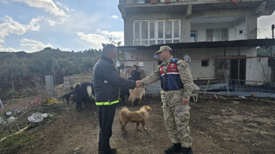 Kayıp hayvanlar ormanda bulundu: Musabeyli’de mutlu son!