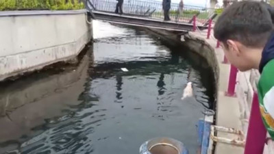 Karamürsel’de su kanalında can pazarı! İtfaiyeden için nefes kesen operasyon!